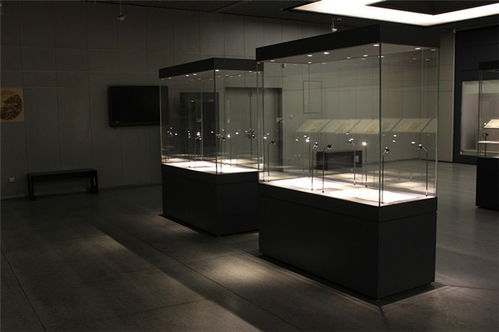 隆城展示 厦门博物馆展柜高清大图解析与专业赏析